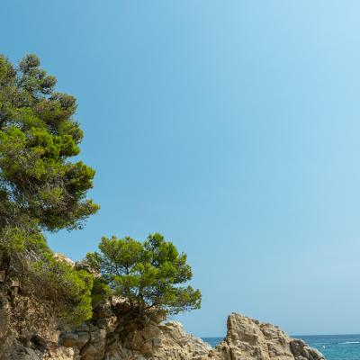 Costa Sol 11